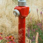 fire hydrant and flowers